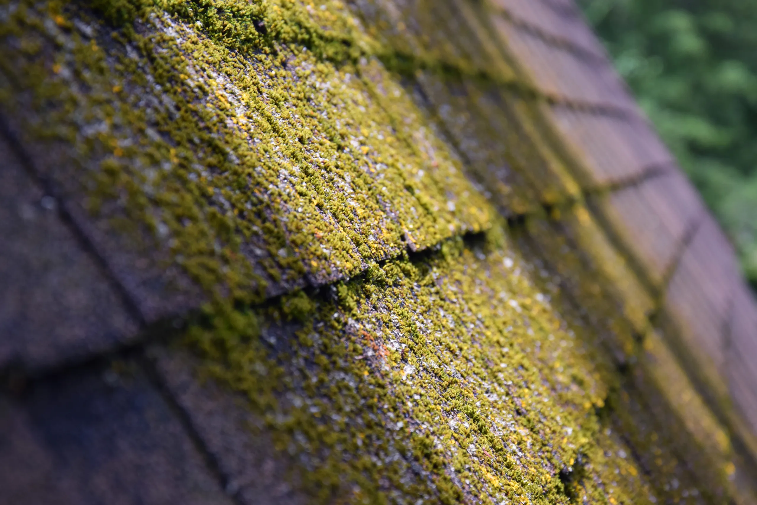 Blog clean moss off roof Saint Helens